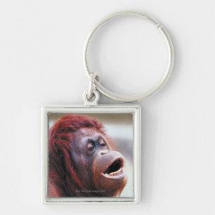 Portrait of orangutan key ring