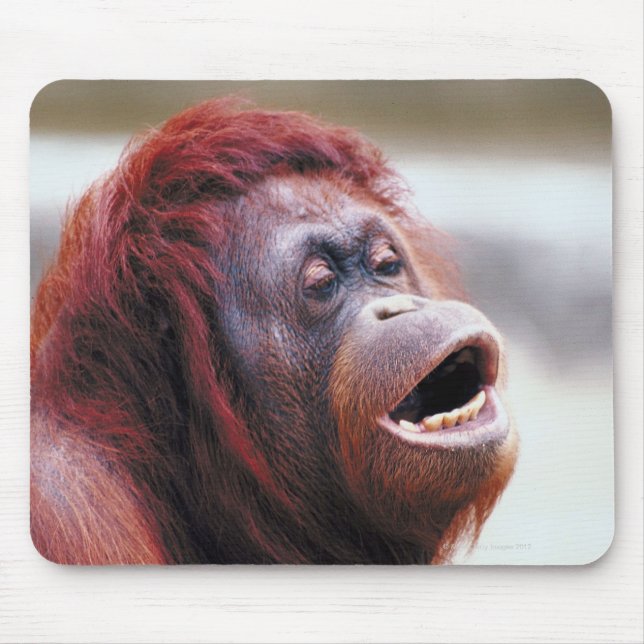 Portrait of orangutan mouse pad (Front)