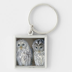 Portrait of owls key ring