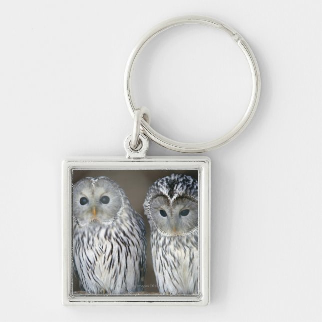 Portrait of owls key ring (Front)