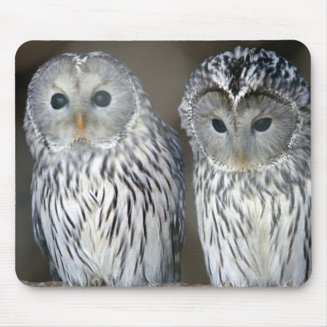 Portrait of owls mouse pad (Front)