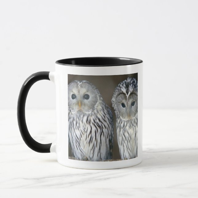 Portrait of owls mug (Left)