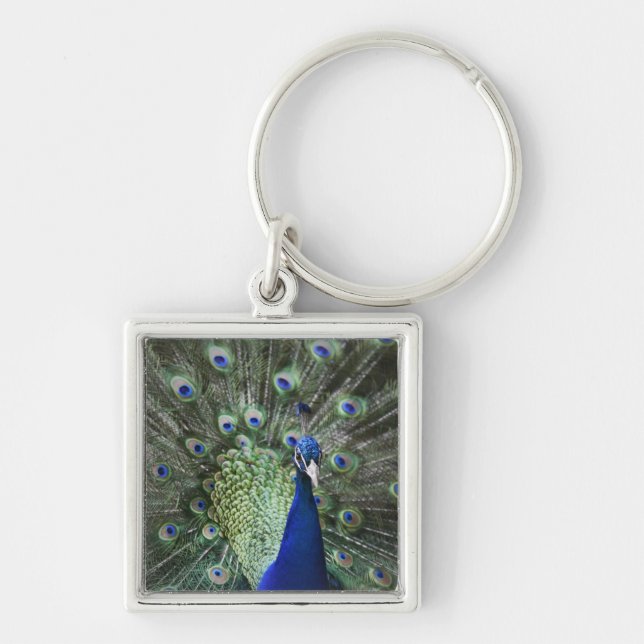 Portrait Of  Peacock With Feathers Out Key Ring (Front)
