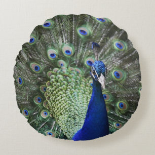 Portrait Of  Peacock With Feathers Out Round Cushion