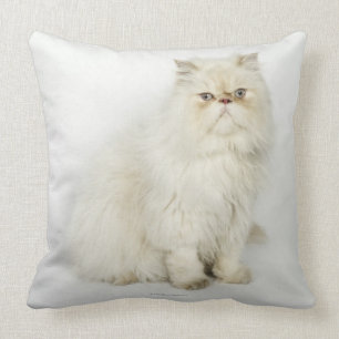 Portrait of Persian cat Cushion