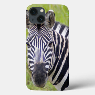 Portrait Of Plains Zebra, Hluhluwe-Umfolozi Game iPhone 13 Case