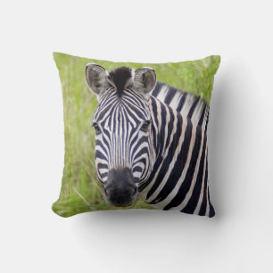 Portrait Of Plains Zebra, Hluhluwe-Umfolozi Game Cushion