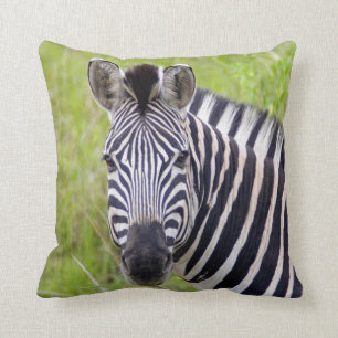 Portrait Of Plains Zebra, Hluhluwe-Umfolozi Game Cushion