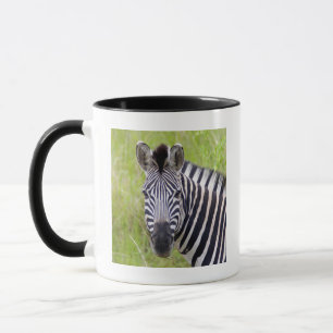 Portrait Of Plains Zebra, Hluhluwe-Umfolozi Game Mug