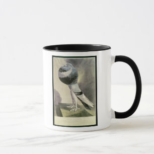 Portrait of Pouter Pigeon Mug
