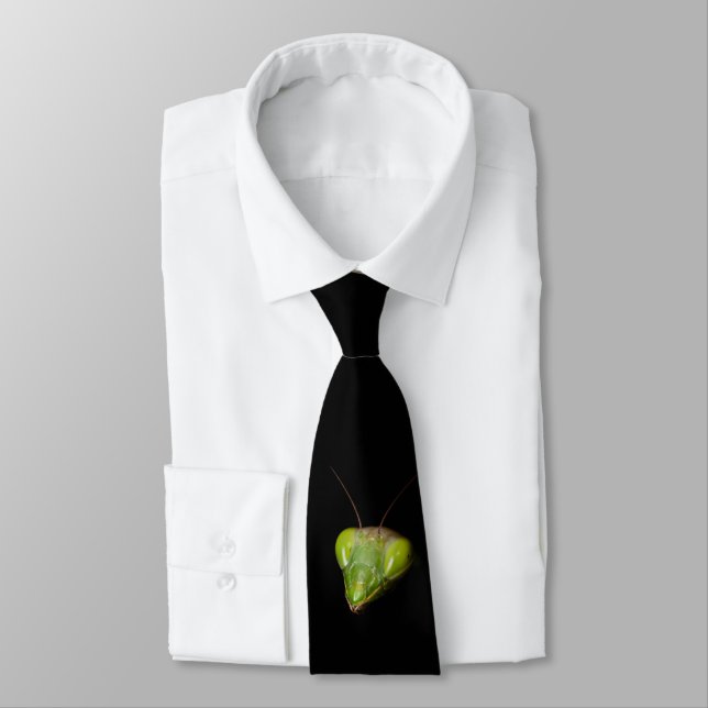 Portrait of praying mantis tie (Tied)