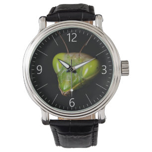 Portrait of praying mantis watch