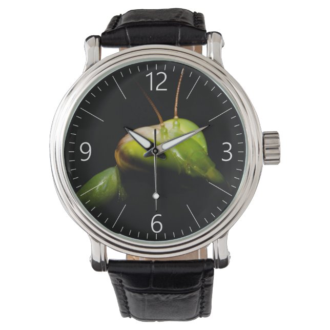 Portrait of praying mantis watch (Front)