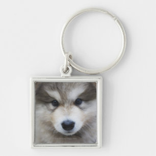 Portrait of puppy key ring