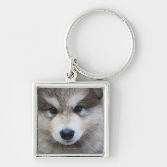 Portrait of puppy key ring (Front)