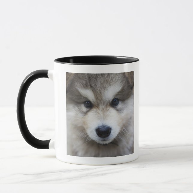 Portrait of puppy mug (Left)