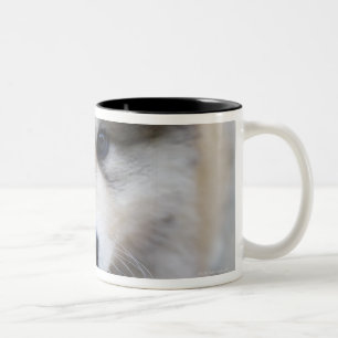 Portrait of puppy Two-Tone coffee mug