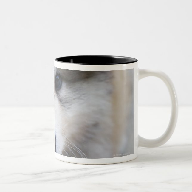Portrait of puppy Two-Tone coffee mug (Right)