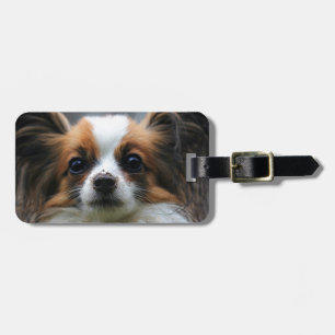 Portrait of purebred Papillon dog Luggage Tag