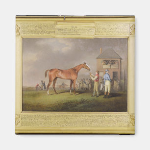 Portrait of 'Quiz', the property of Lord Rous, aft Magnet