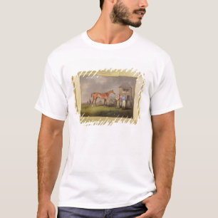 Portrait of 'Quiz', the property of Lord Rous, aft T-Shirt