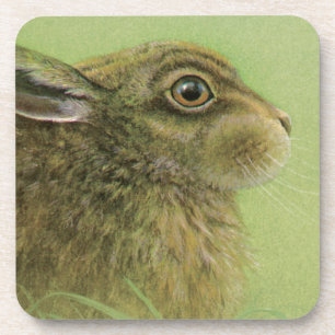 Portrait of rabbit grazing fine art coaster 6 set