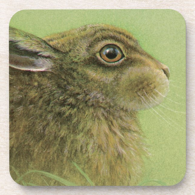 Portrait of rabbit grazing fine art coaster 6 set (Front)