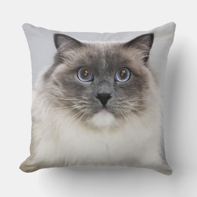 Portrait of Ragdoll cat Cushion (Front)