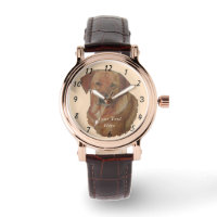 portrait of rare red golden labrador retriever dog