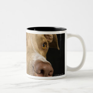 Portrait of red nose pitbull with black Two-Tone coffee mug