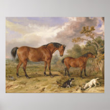 Portrait of Reformer, Blucher, Tory and Crib