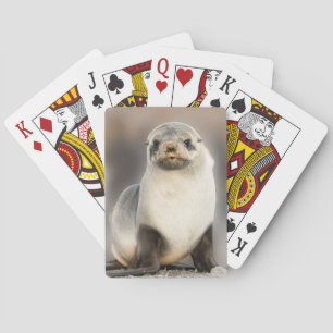 Portrait of Seal Pup on the Beach Playing Cards