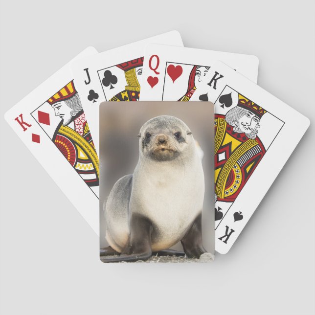 Portrait of Seal Pup on the Beach Playing Cards (Back)