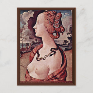 Portrait Of Simonetta Vespucci By Piero Di Cosimo Postcard