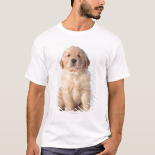 Portrait of six week old golden retriever puppy. T-Shirt