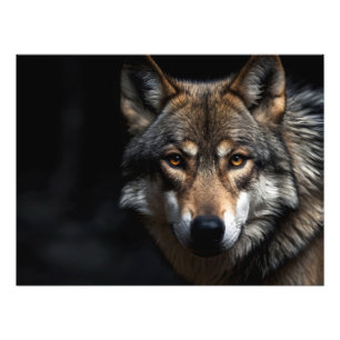Portrait of the wolf photo print
