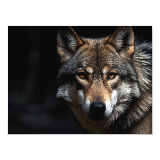 Portrait of the wolf photo print (Front)