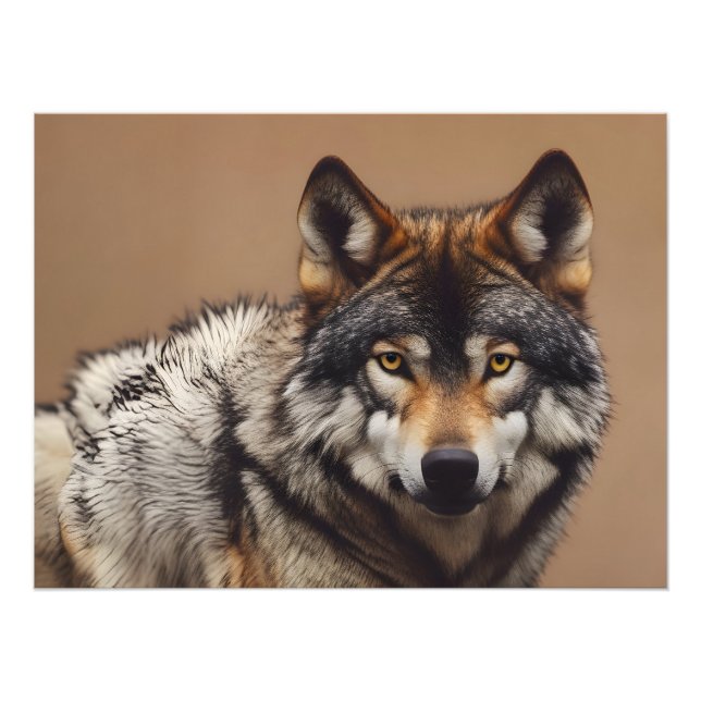 Portrait of the wolf photo print (Front)