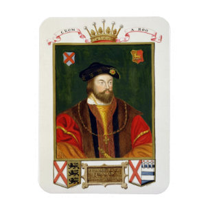 Portrait of Thomas Fitzgerald (1513-37) Lord Offal Magnet