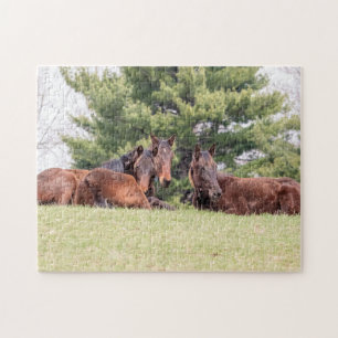 Portrait of three horses jigsaw puzzle