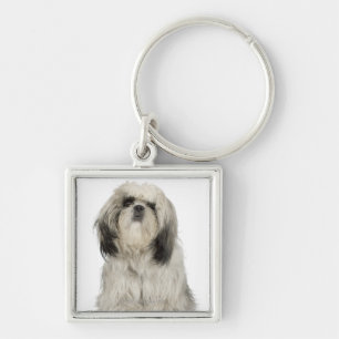 Portrait of Tibetan terrier puppy Key Ring