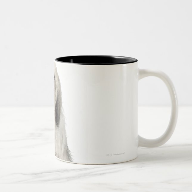 Portrait of Tibetan terrier puppy Two-Tone Coffee Mug (Right)