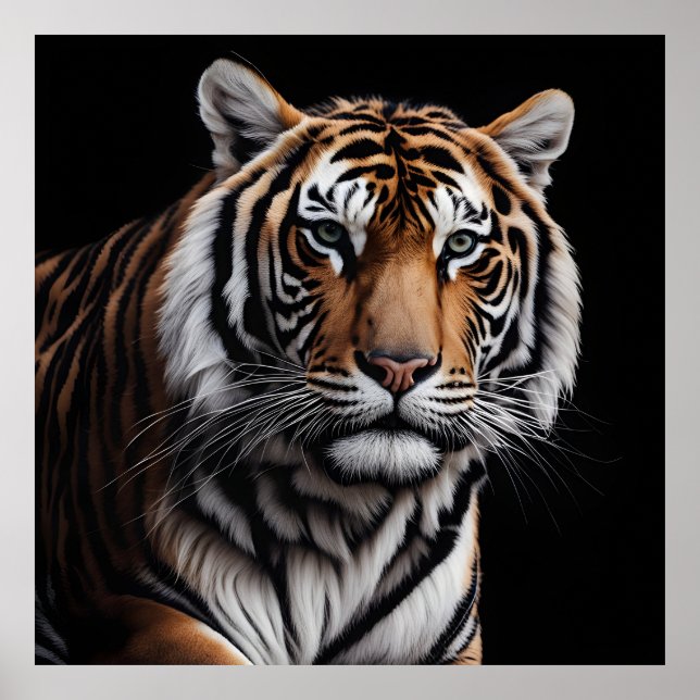 Portrait of tiger poster (Front)