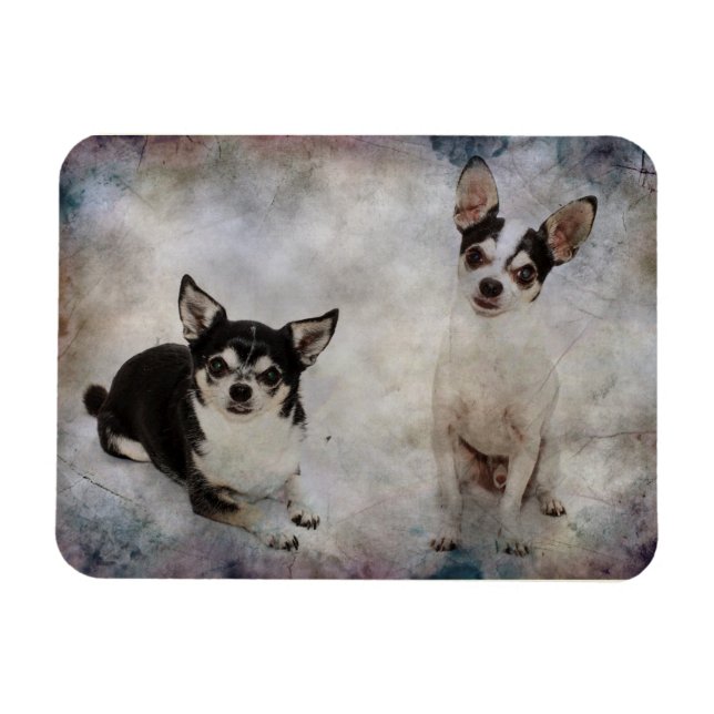 Portrait of two chihuahua's magnet (Horizontal)