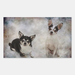 Portrait of two chihuahua's rectangular sticker