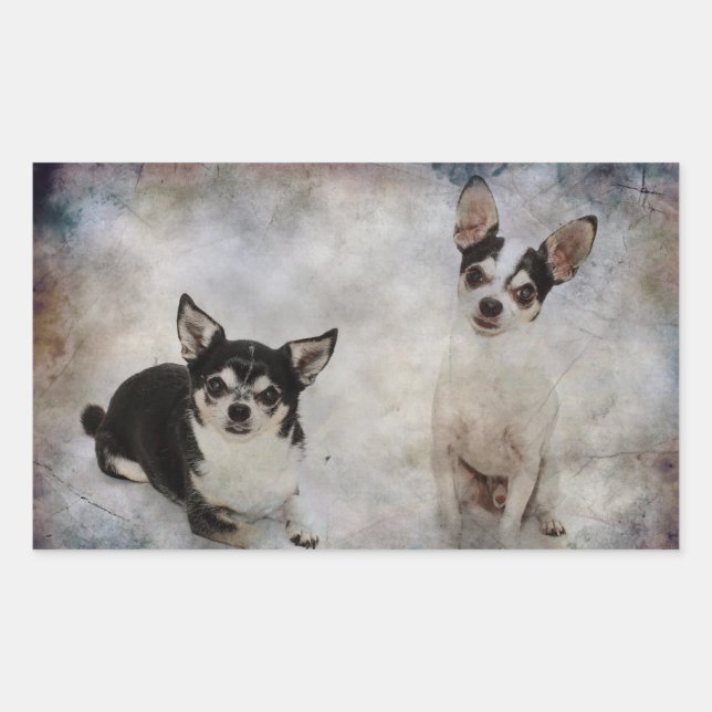 Portrait of two chihuahua's rectangular sticker (Front)