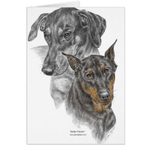 Portrait of Two Dobermans