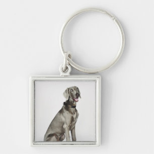 Portrait of Weimaraner dog Key Ring