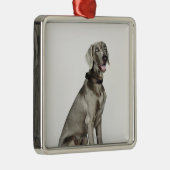 Portrait of Weimaraner dog Metal Ornament (Right)