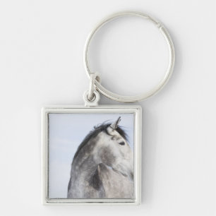 portrait of white horse 2 key ring